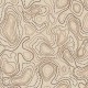 TOPOGRAPHY MAP