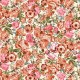 WILD ROSE FIELD
