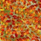 AUTUMN LEAVES