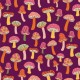 MUSHROOM MEDLEY