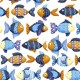 SCHOOL OF FISH