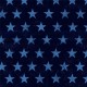 RUGGED STARS