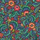 PAISLEY PATHWAYS