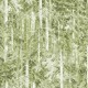 SUMMER FOREST