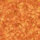 FALL FOLIAGE