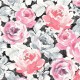 CABBAGE ROSES