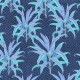 CORDYLINE