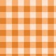 WILD WEST GINGHAM