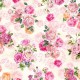 SPRING SONGS FAIRY ROSES