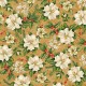 CHRISTMAS BLOSSOM