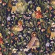 NIGHT GARDEN