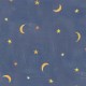MYSTIC MOON