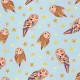 ENCHANTED OWLS