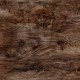 WOODGRAINS