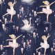 DANCE OF THE SWANS