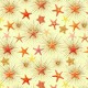 STARFISH AND SUNBURST
