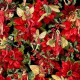 WINTER FAIRY POINSETTIA