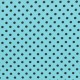 DUMB DOT- LAMINATE