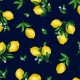 LOTS A LEMONS ON MINKY  - 24 yard minimum - Contact your account manager to purchase