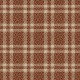 COZY PLAID ON MINKY